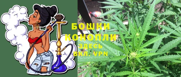 тгк Вяземский