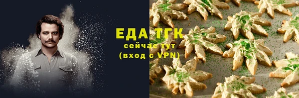 тгк Вяземский