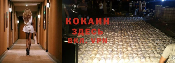 тгк Вяземский