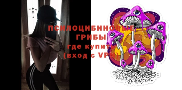 бутират Горняк