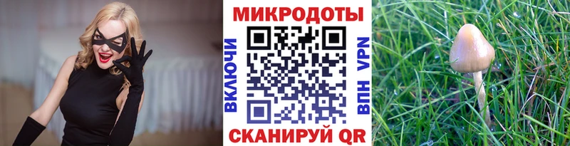 mega маркетплейс  Мурманск  Псилоцибиновые грибы MAGIC MUSHROOMS 